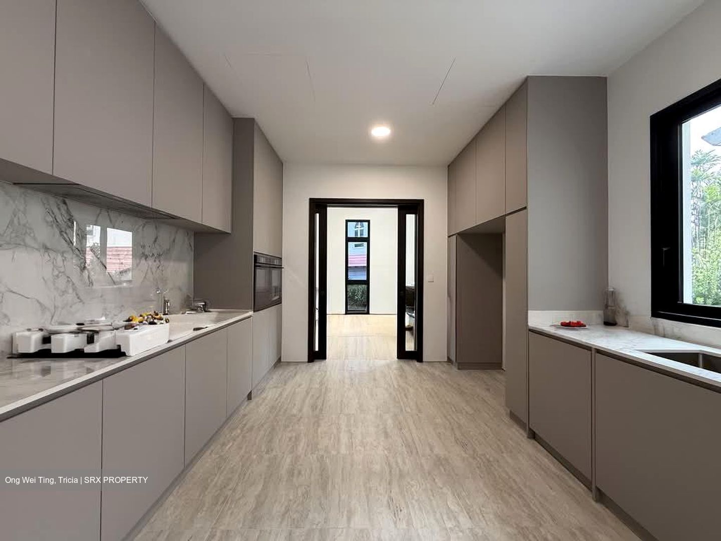 Grove Lane (D10), Detached #561876741